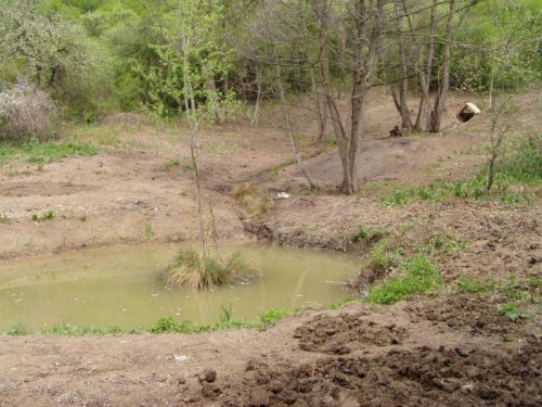 Studánka na Popovsku - 19.3.2005